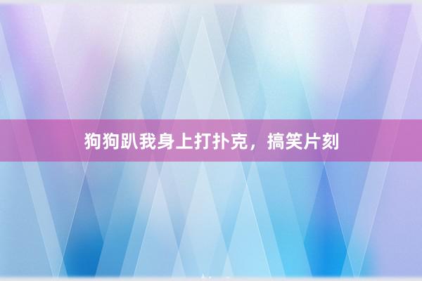 狗狗趴我身上打扑克，搞笑片刻
