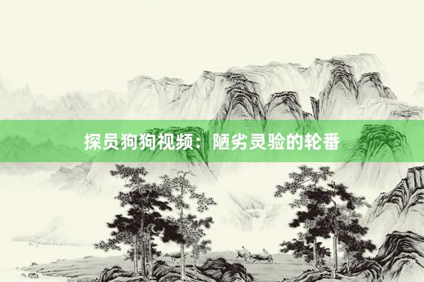探员狗狗视频：陋劣灵验的轮番