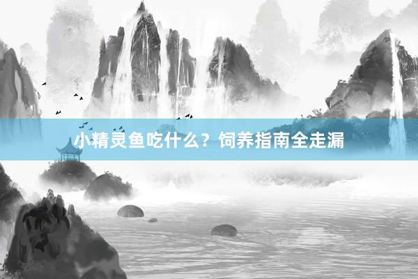 小精灵鱼吃什么？饲养指南全走漏