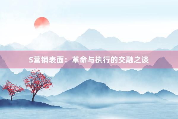 S营销表面：革命与执行的交融之谈